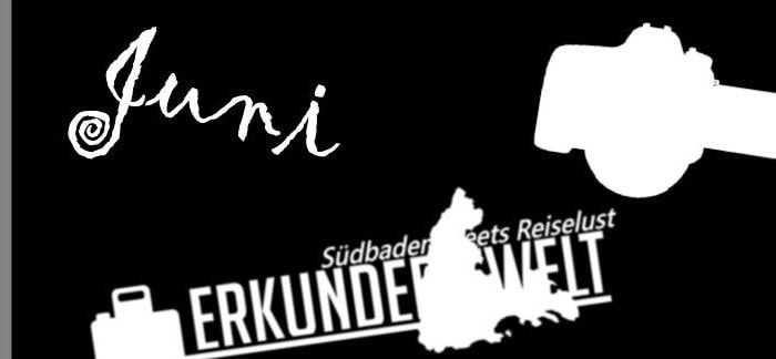 Fotogramm #6 Juni 2017