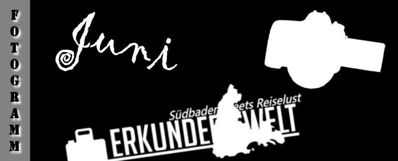 Fotogramm #6 Juni 2017