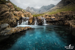 moosearoundtheworld.de