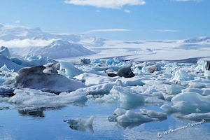 willkommenfernweh.de