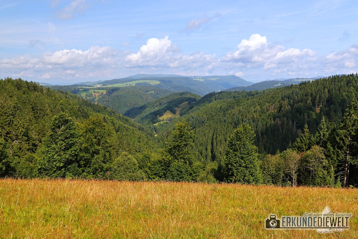 Schwarzwald Landschaft, Deutschland