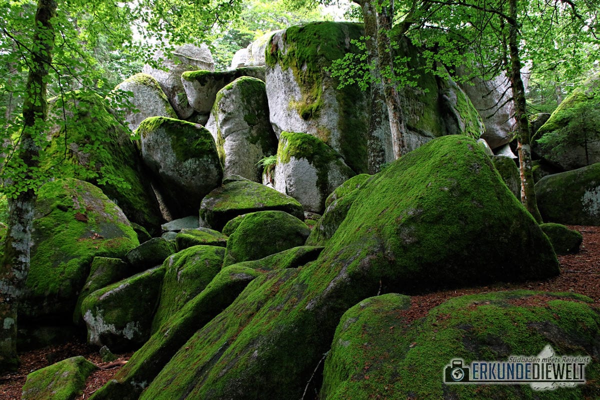 Günterfelsen, Schwarzwald, Deutschland
