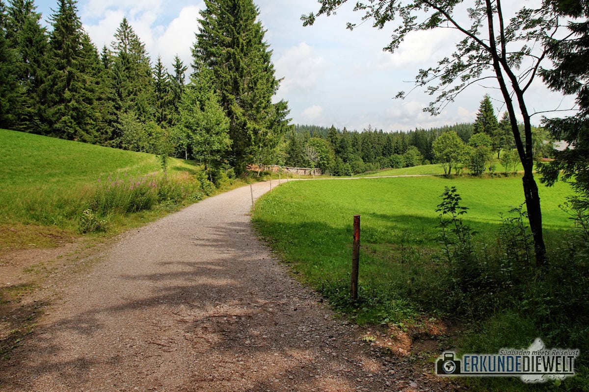 Kolmenhof, Schwarzwald, Deutschland
