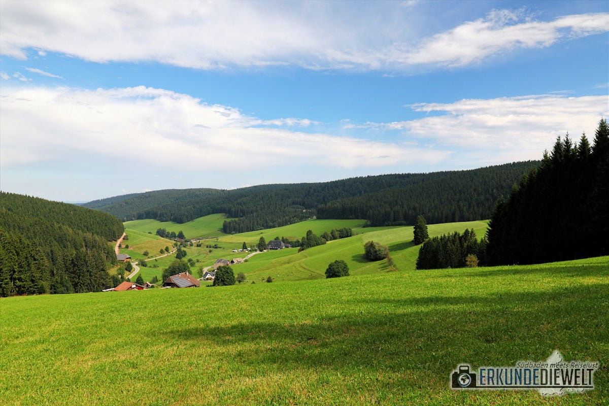 Schwarzwald Landschaft, Deutschland