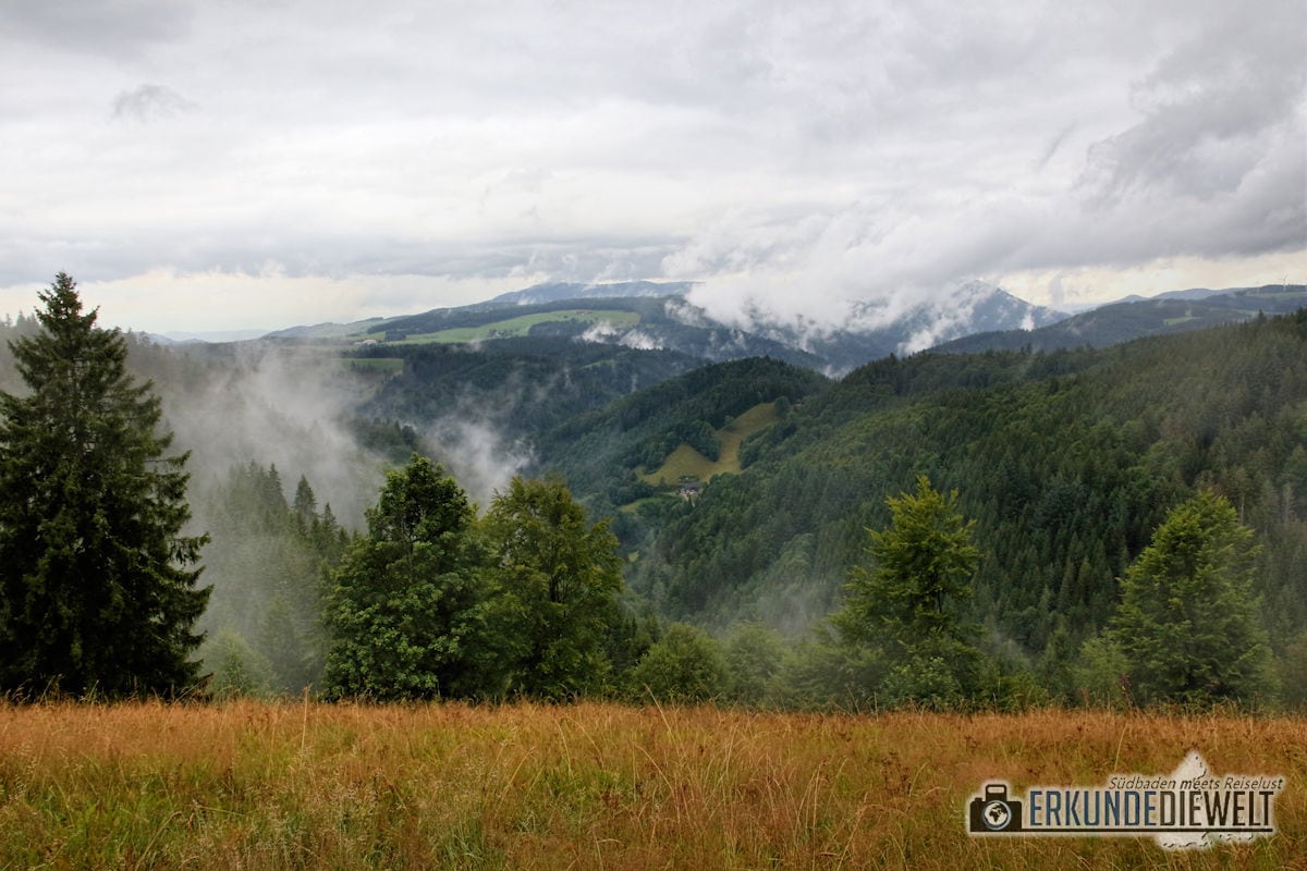 Nebelschwaden, Schwarzwald, Deutschland