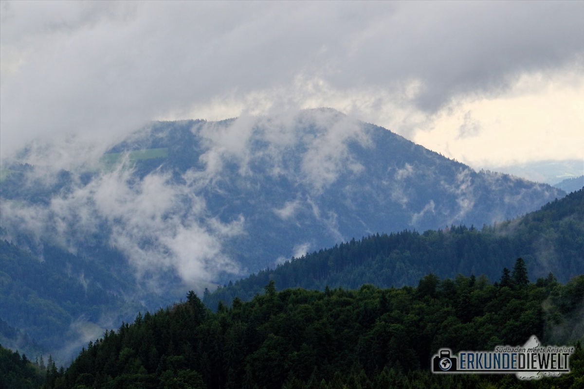 Nebelschwaden, Schwarzwald, Deutschland