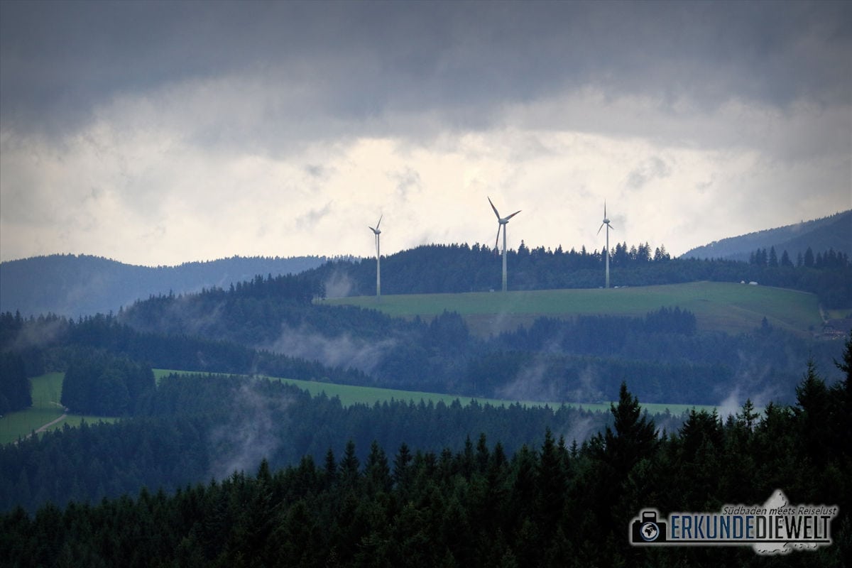 Nebelschwaden, Schwarzwald, Deutschland