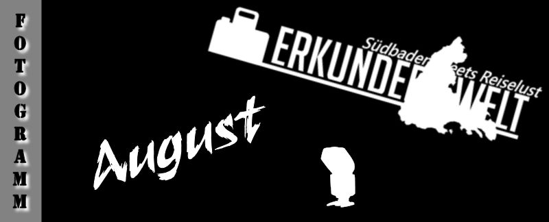 Fotogramm #8 August 2017