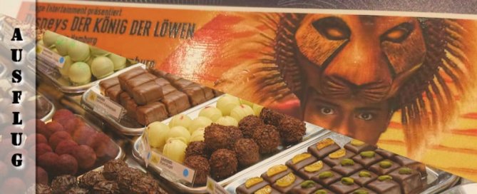 hamburg-chocoversum-musical-stadtrundfahrt