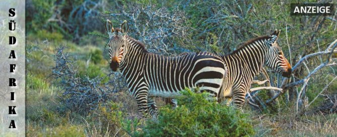 suedafrika-reisefazit-wanderlust-africa