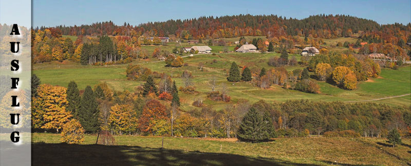 Ibacher Panoramaweg - Schwarzwälder Genießerpfad