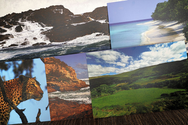 sponsor-des-monats-zor-com-bilderdruck-alu-dibond