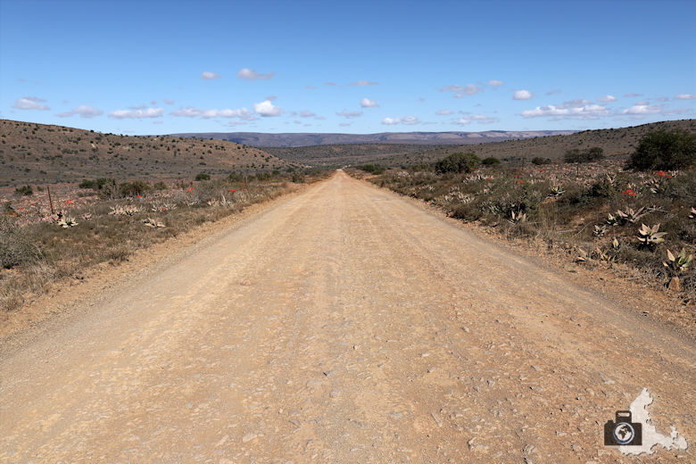 dirty-road-anfahrt-national-park-suedafrika