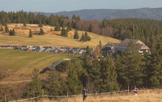 Ausflug im Schwarzwald - Kandel, St. Peter, Glottertal
