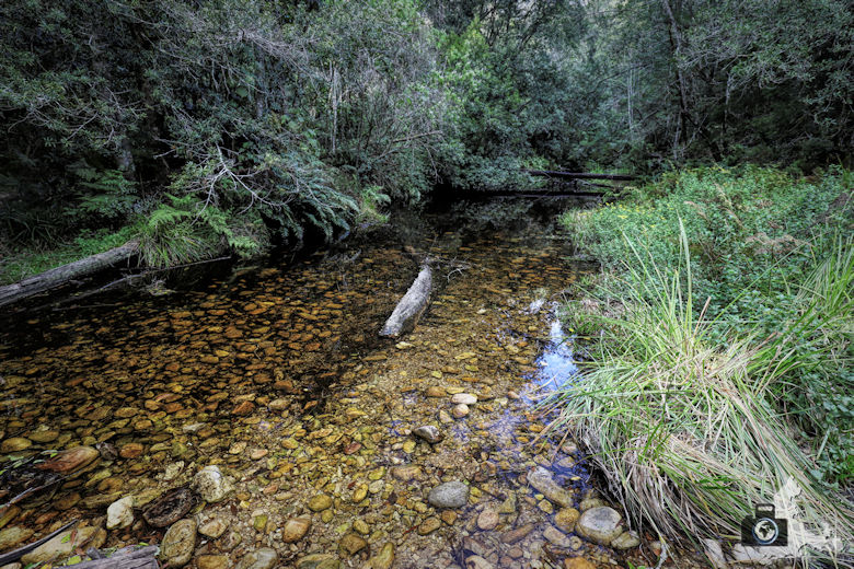 Jubilee Creek Nature Reserve nahe Knysna