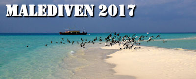Reiseberichte Malediven