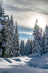 Schönstes Foto von gailtalontour.com