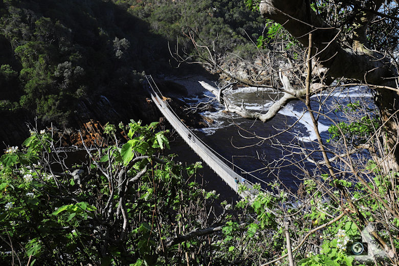 Suspension Bridge - Tsitsikamma Nationalpark