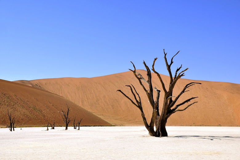 Steckbrief Namibia