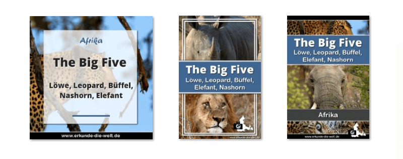 Fotogramm 011 - Pinterest Templates erstellen