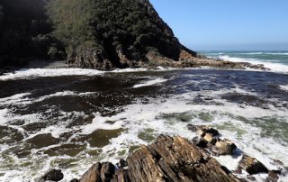 Storms River Mouth Trail - Tsitsikamma Nationalpark