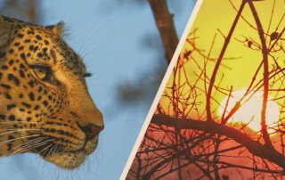 abreise-abschied-suedafrika-reise-fazit