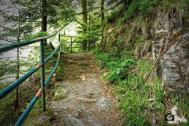 Sagenrundweg nahe den Allerheiligen Wasserfällen im Schwarzwald