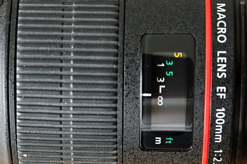 Canon 100 mm f/2.8 L Macro IS USM - Display