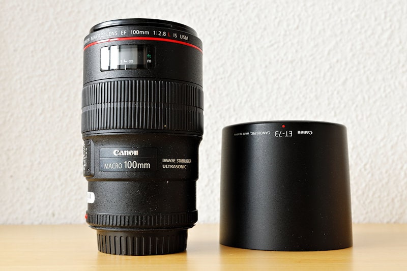 Canon 100 mm f/2.8 L Macro IS USM - Objektiv Test