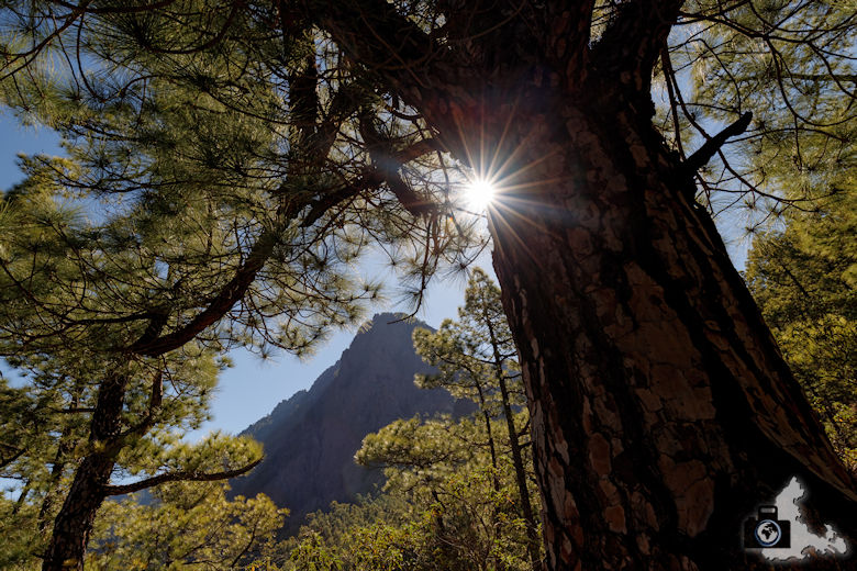 La Palma, Nationalpark Caldera de Taburiente, Rundwanderung La Cumbrecita