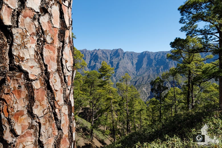 La Palma, Nationalpark Caldera de Taburiente, Sonniges Wetter