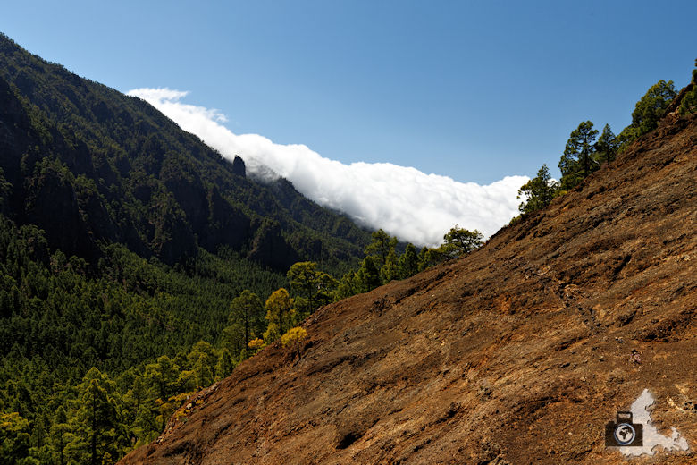La Palma, Nationalpark Caldera de Taburiente, Rundwanderung La Cumbrecita
