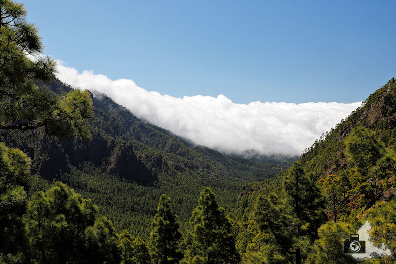 La Palma, Nationalpark Caldera de Taburiente, Rundwanderung La Cumbrecita