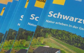 ADAC Reiseführer Schwarzwald - Vom Blogger zum Autor - Erfahrungsbericht