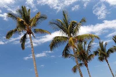 La Palma, Kanaren, Spanien