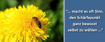 Fotografie Tipps für scharfe Bilder und perfekte Schärfentiefe