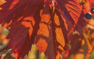 Fotowalk #8 - Licht & Schatten