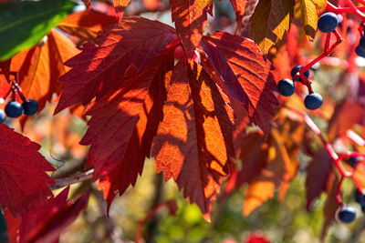 Fotowalk Licht & Schatten