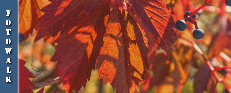 Fotowalk #8 - Licht & Schatten