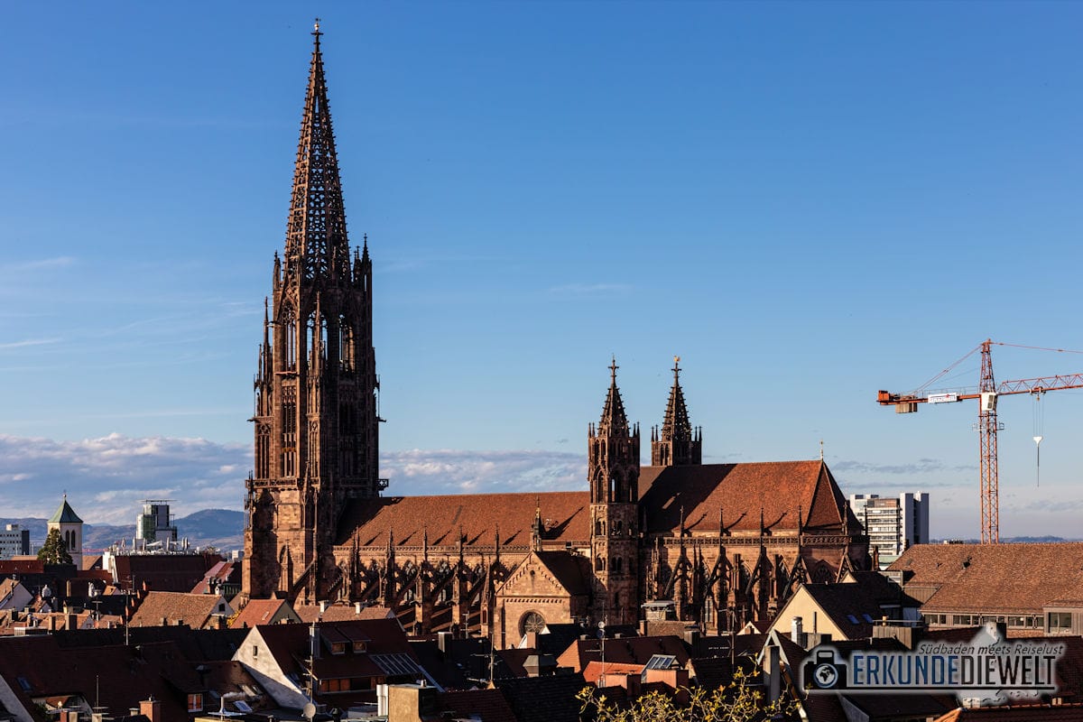 Freiburger Münster, Freiburg