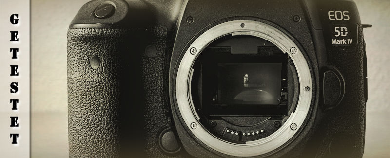Canon EOS 5D Mark IV - Testbericht & Review