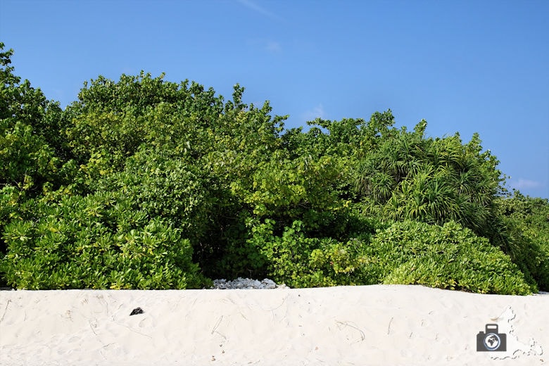 Tipps zum Fotografieren an Strand & Küste - Drittelregel anwenden