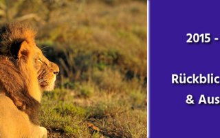 Jahresrückblick 2015-2017