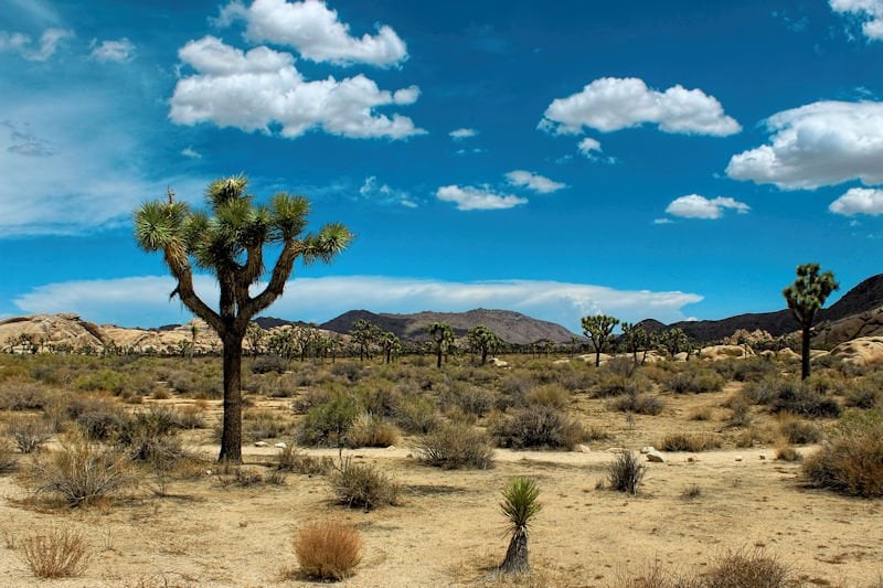 reisen-berufsunfaehigkeit-risiken