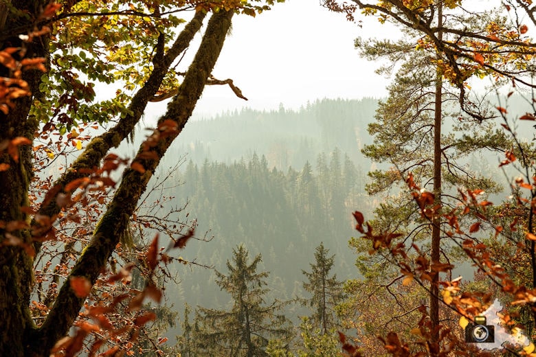 Schwarzwälder Genießerpfad - Rötenbachschlucht - Aussicht