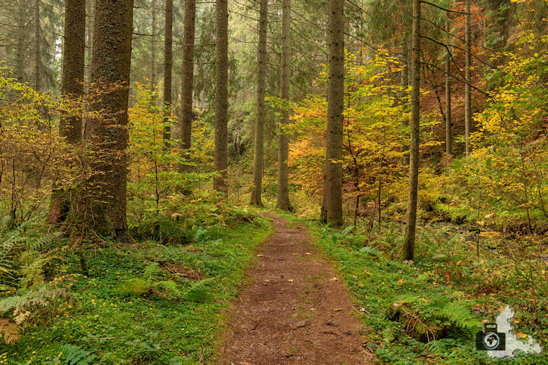Schwarzwälder Genießerpfad - Rötenbachschlucht - Herbstwanderung