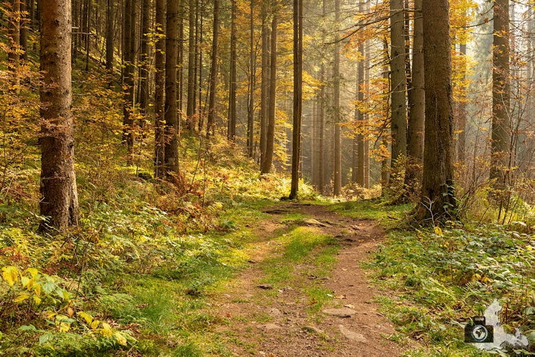 Schwarzwälder Genießerpfad - Rötenbachschlucht - Herbstwanderung