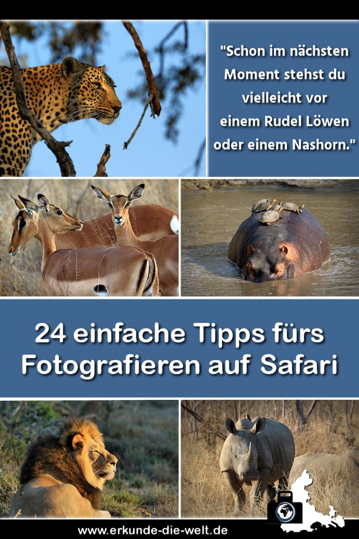 Tierfotografie: Wildtiere auf Safari in Afrika fotografieren – 24 Tipps