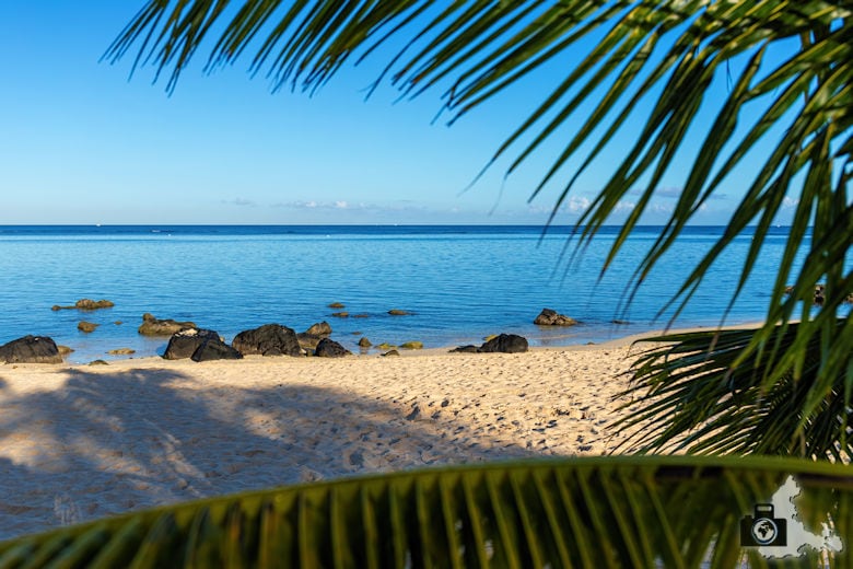 Palme am Strand, Mauritius