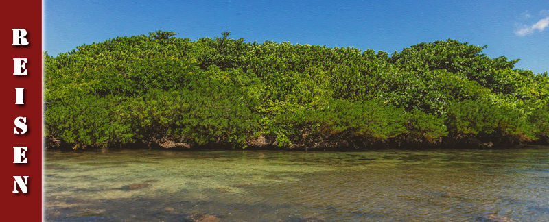 mauritius-rochester-falls-alexandra-falls